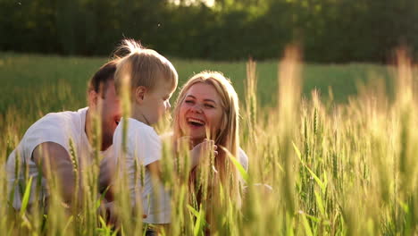 little smiling boy sitting in a wheat on the field. summer nature, walking outdoors. childhood happiness