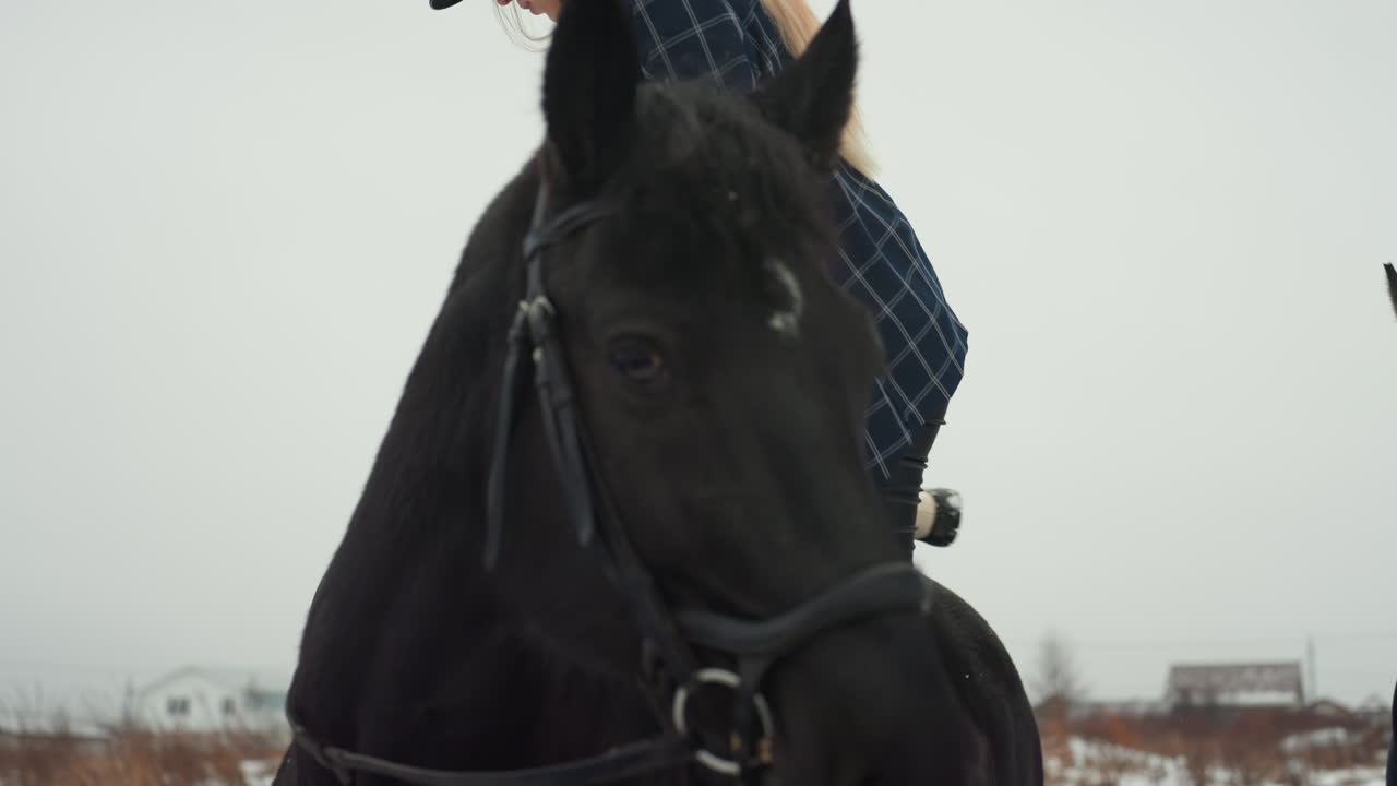 Elegante ritratto equestre. Donna con cavallo in campagna. Scena tranquilla di donna e cavallo in un paesaggio innevato. Ritrae serenamente una donna che guida il suo cavallo attraverso un ambiente rurale invernale.