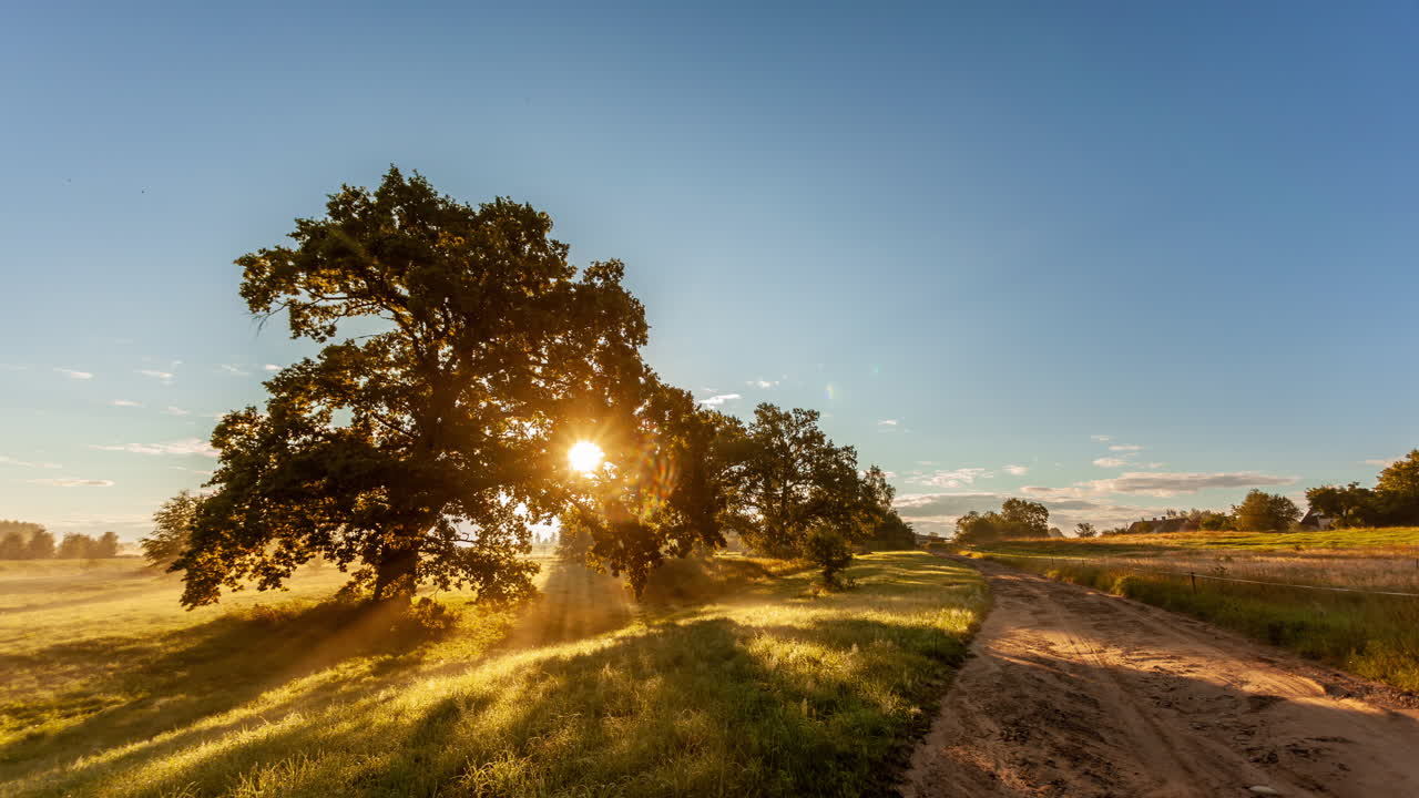 Timelapse di una splendida alba in campagna vicino a un grande albero e una strada di campagna