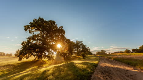 Lapso-De-Tiempo-Del-Hermoso-Amanecer-Del-Campo-Cerca-Del-Gran-árbol-Y-La-Carretera-Rural