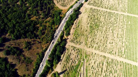 aerial view of vineyard and road