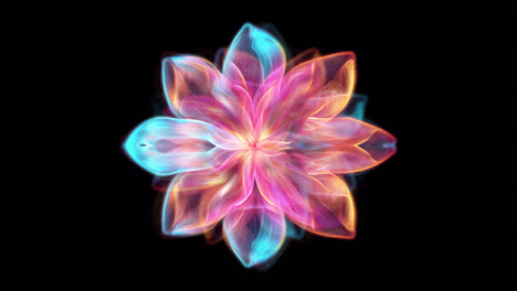 looped background of colorful beautiful flower of light with alpha channel 4k resolution