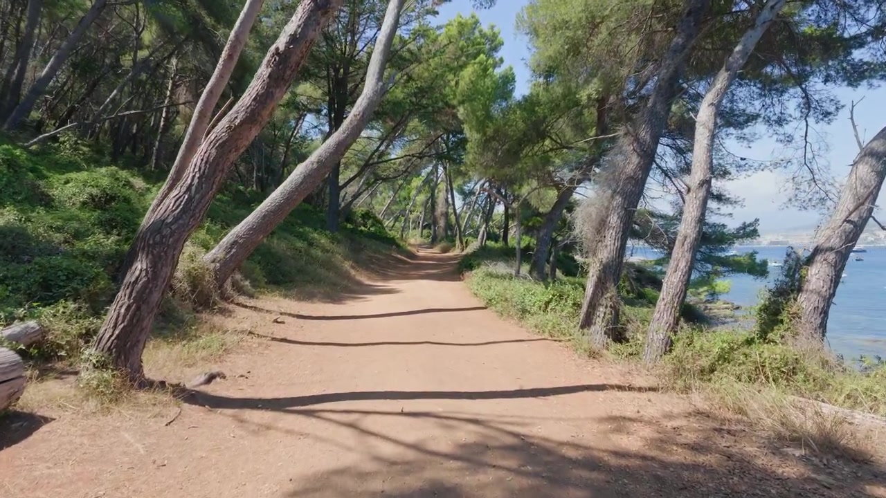 Un sentiero sterrato si snoda attraverso una pineta con il mare visibile tra gli alberi, Isola di Santa Margherita, Francia