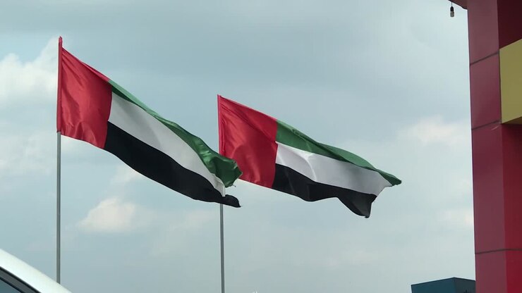 video cinematografico di molteplici bandiere della palestina che sventolano al vento per sostenere gli sforzi dei paesi nella guerra contro i terroristi di hamas