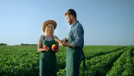 Dos-Granjeros-Alegres,-Hombre-Y-Mujer-Hablando-Y-Mirando-Las-Verduras-Que-Recogieron-Como-Cosecha-En-El-Campo-Verde