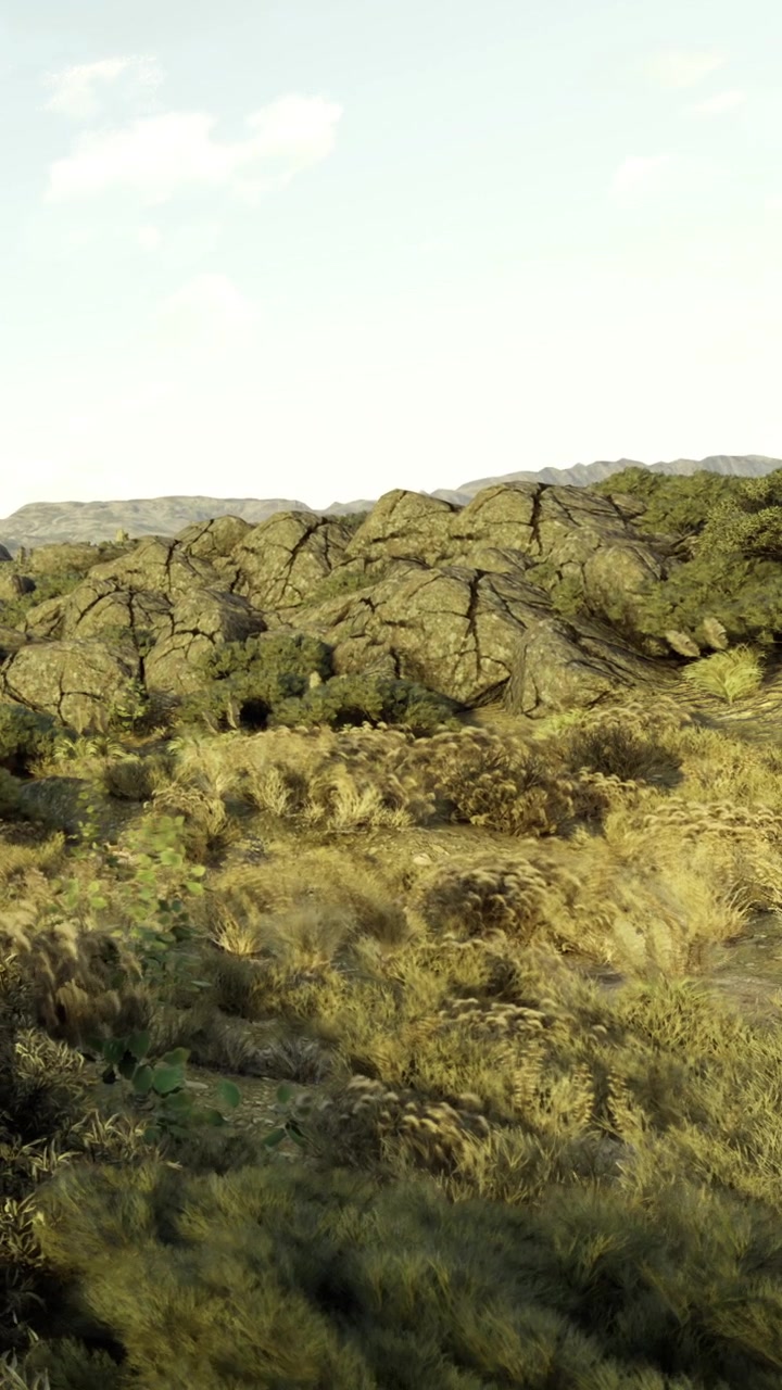 Paesaggio con terreno roccioso e vegetazione rada di giorno.