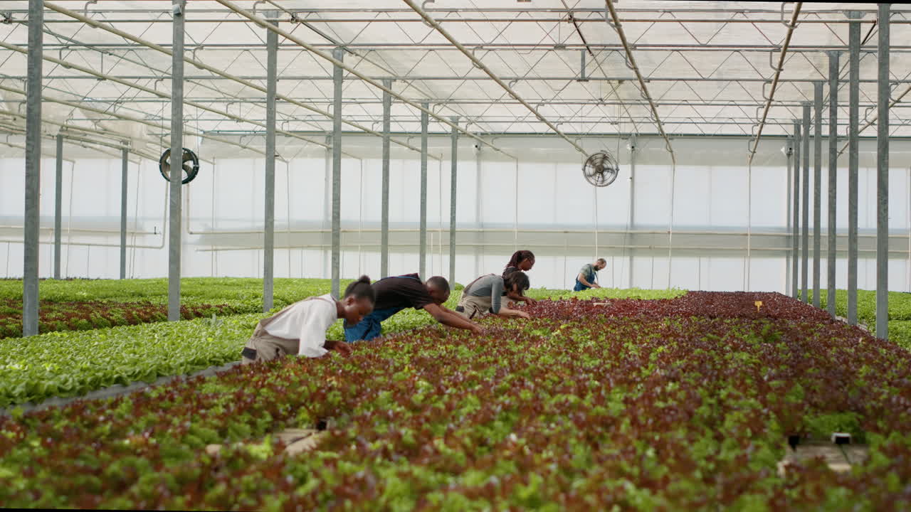 온실에서 일하는 사람들