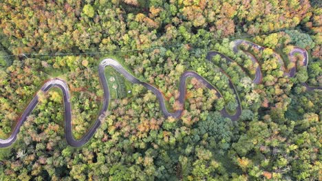 Luftdrohnenansicht-Von-Autos,-Die-Auf-Einer-Kurvigen-Waldstraße-Durch-Einen-Idyllischen-Herbstwald-Mit-Atemberaubenden-Herbstfarben-Fahren