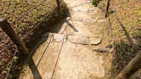 a peaceful walk down a serene garden path