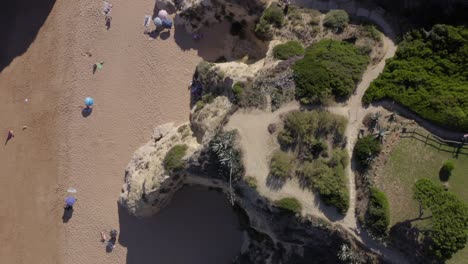 Vista-Aérea-De-Arriba-Hacia-Abajo-A-Través-De-La-Costa-De-Portimão,-Campos-Siempre-Verdes-Y-Playa-De-Formación-Rocosa