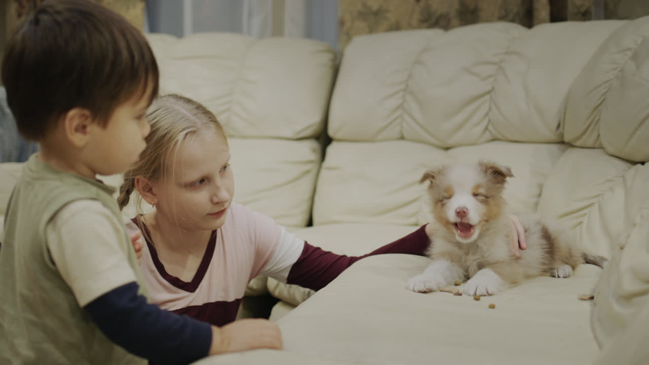 아이들은 작은 강아지와 함께 놀고, 그에게 개 음식을 주세요.