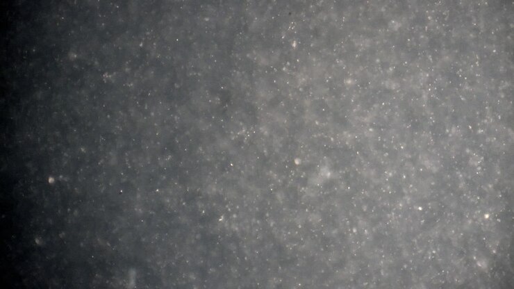 Semen magnified to show movement of sperm cells