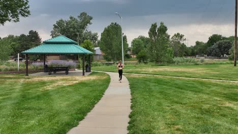 an athletic woman runs down a park pathway during stormy skies. lean and quick she runs on a windy day with the threat of a storm in the background