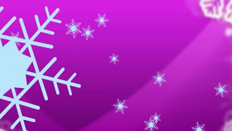 Animation-of-snowflakes-falling-on-purple-background