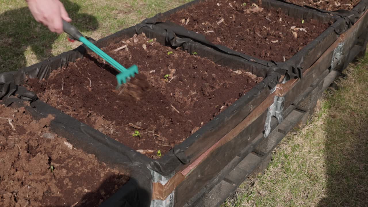 Close up of man hands in cultivate ground with garden rake for planting vegetables on pallet collar raised bed garden. Sweden
