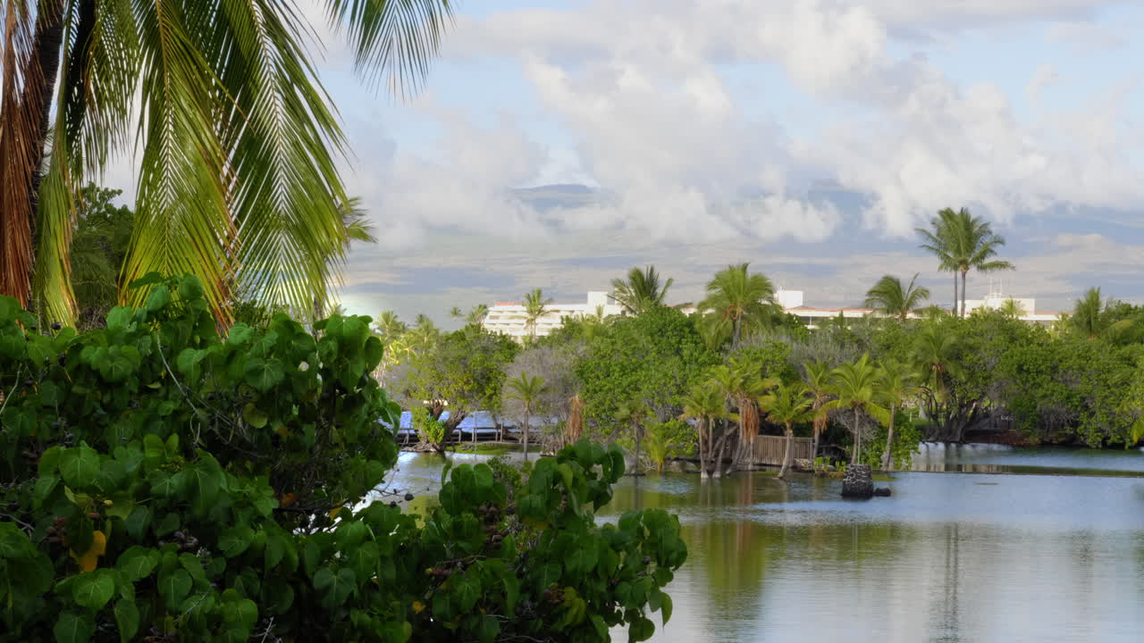 Beautiful Light Ocean View Walk to Auberge Hotel at Mauna Lani Ponds Hawaii Sunset