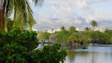 beautiful light ocean view walk to auberge hotel at mauna lani ponds hawaii sunset