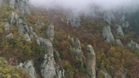 autumn mountain foggy landscape