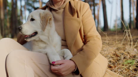 Cute-middle-aged-woman-relaxing-in-the-forest-with-a-golden-retriever-puppy