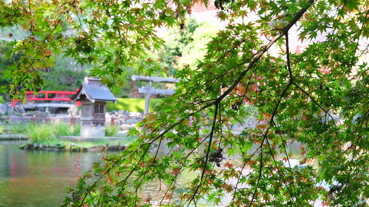 初秋、湖の小さな島にある日本の神社と日本のカエデの木