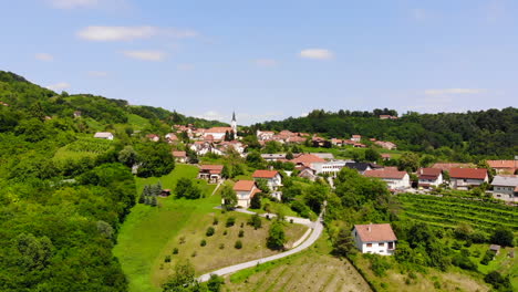 Aerial-drone-shot-of-a-vineyard-in-Zagorje,-Croaia