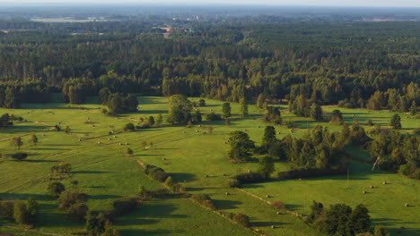 Vibrant Latvia landscape of meadows and forest, aerial view