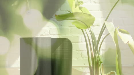 green leaves and sunlight animation over modern indoor plant and white brick wall