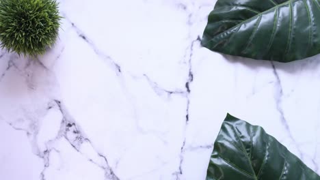 gift wrapping on marble with plants