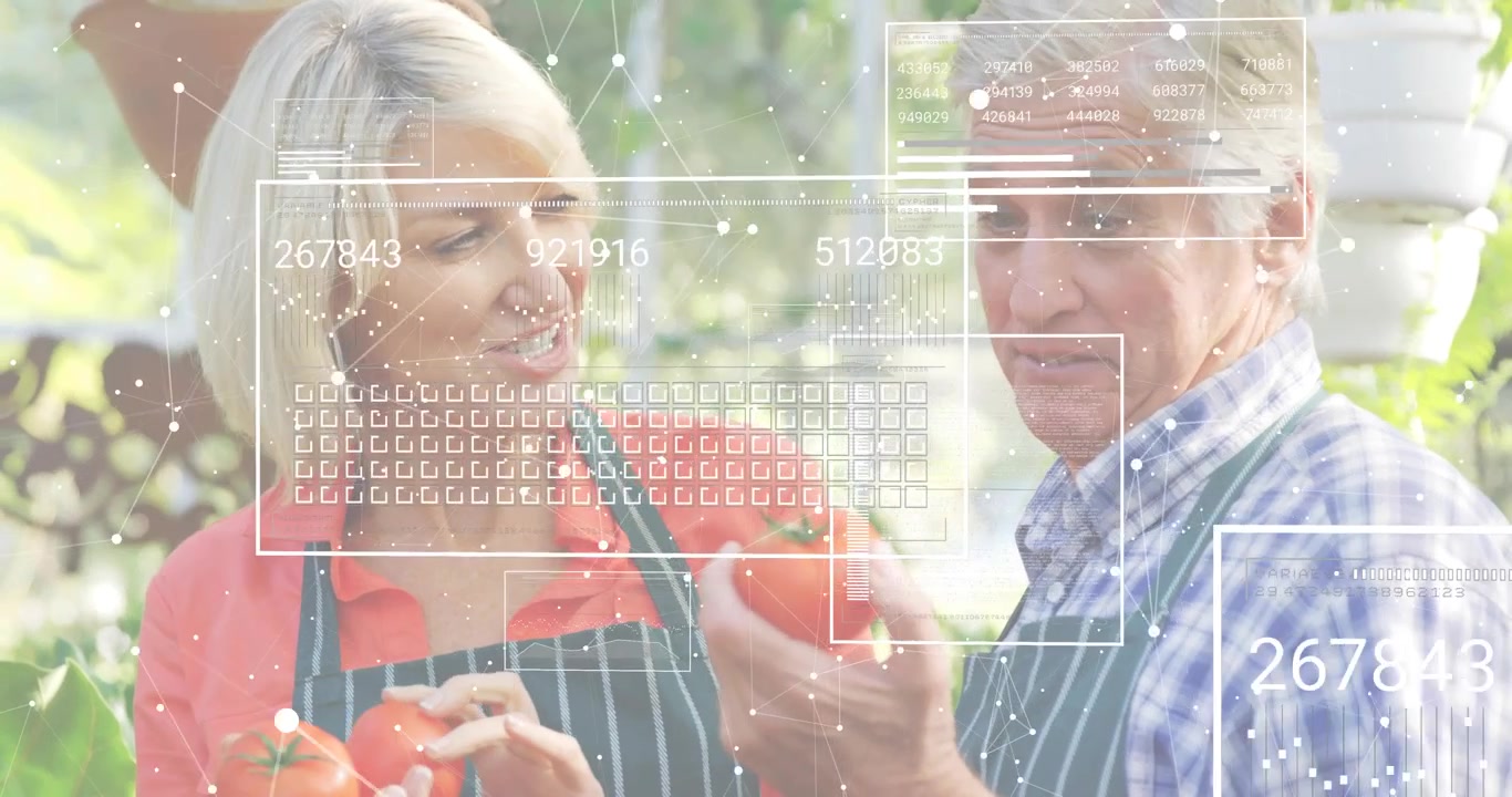 Woman pointing tomatoes with grid overlay while man examining tomato color evaluating food quality