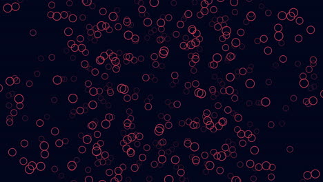 circles of red mesmerizing pattern on black background