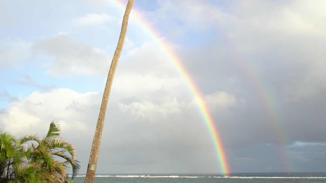 4k, vista panorámica de un arco iris completo en el cielo desde la palmera hasta el lado del océano