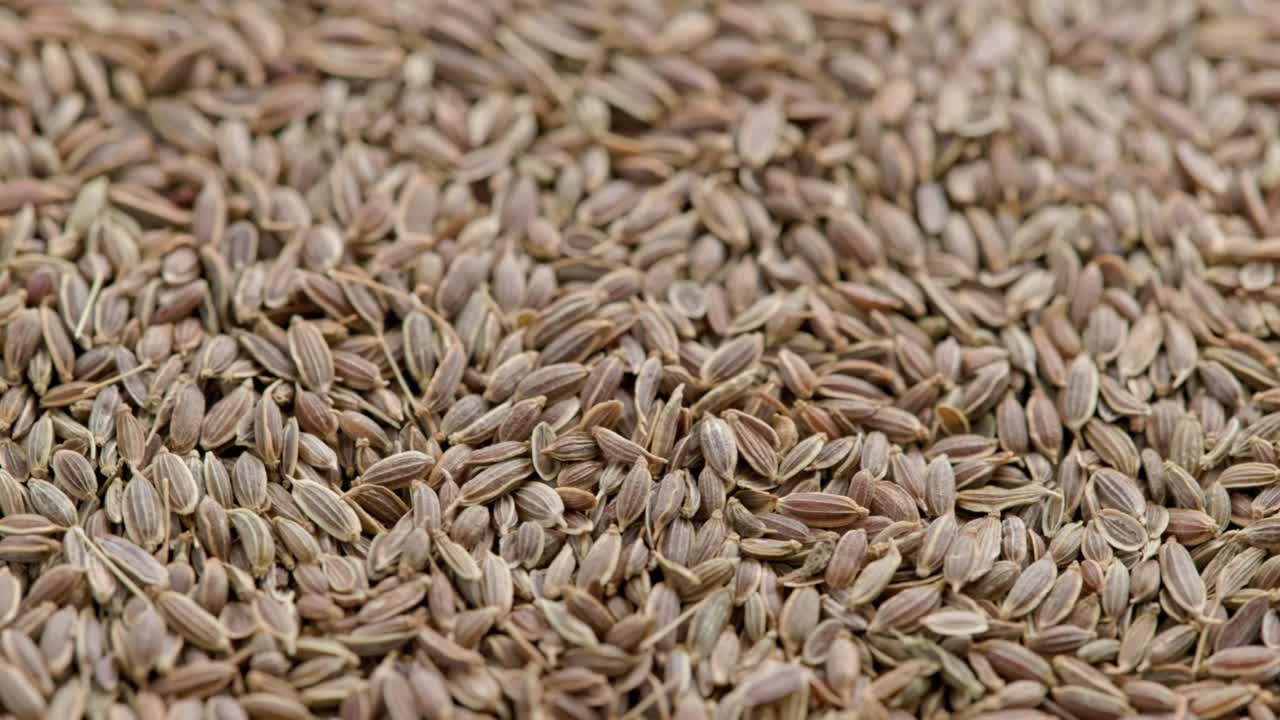 평평한 표면에 건조한  씨, 느리게 회전하는 루프 된 배경