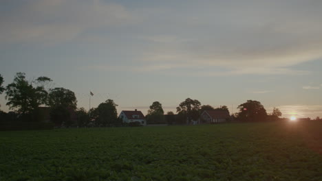 A-handheld-wide-shot-of-a-field-filled-with-sugar-beets-during-sunrise,-and-the-sun-on-the-horizon