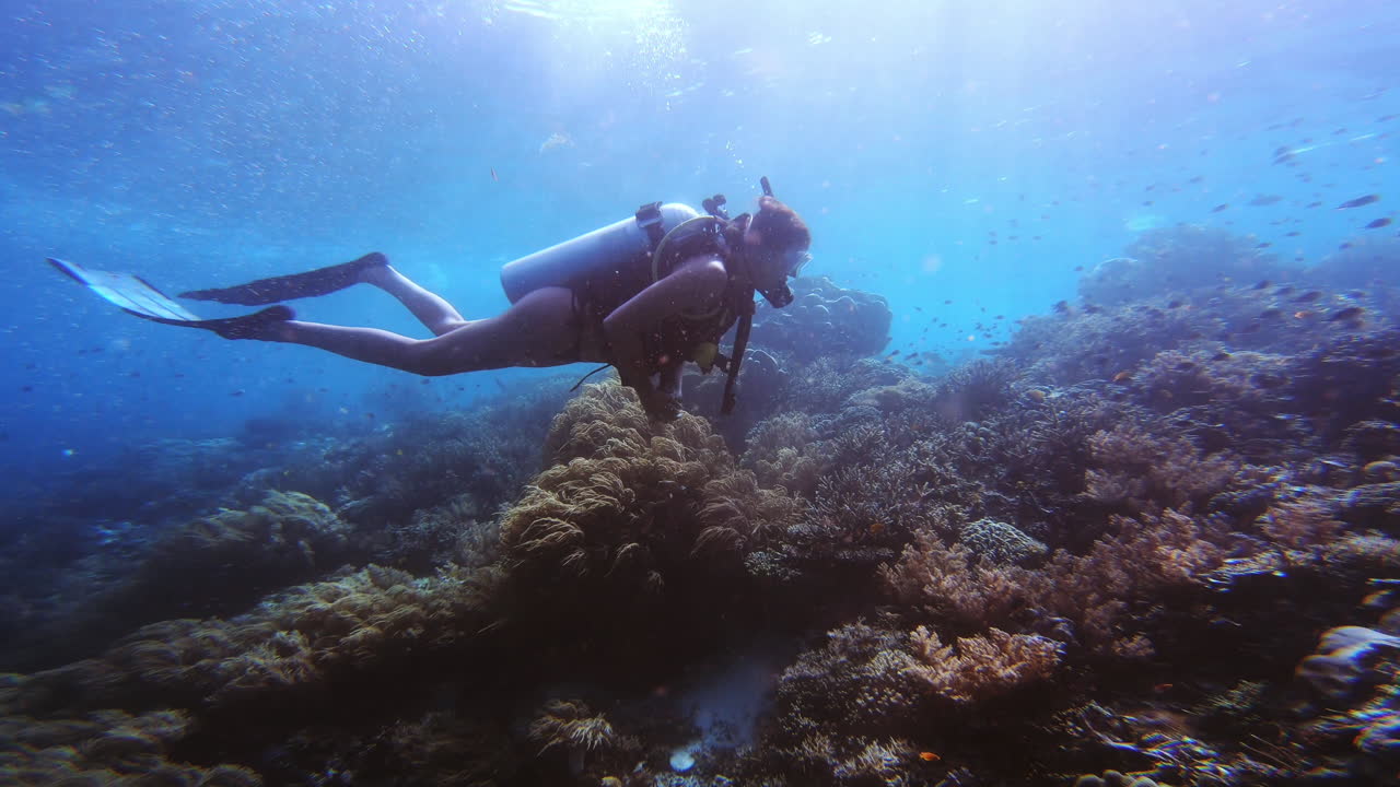 There's so much to explore here