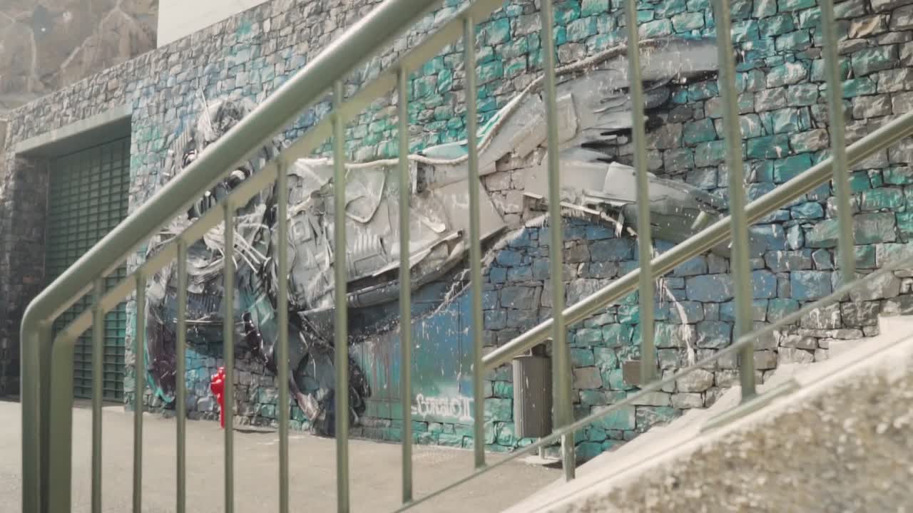 materiales reciclados mural de una foca