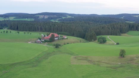 idílico cortijo cinematográfico en la selva negra desde el swr "die fallers" con pradera y abetos bosque de madera aérea rotación drone panorama tiro