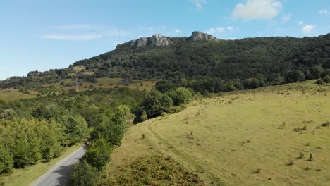 amplia toma aérea de valle verde, bosque y altos acantilados