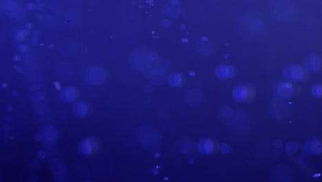 slow motion 4k macro shot of bubbles rising in water, the background is lit dark blue with a red accent light. shot on red camera