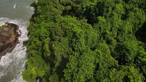 Top-view-aerial-above-exotic-treetop-canopy-coastline-tide-splashing-against-rocky-landscape