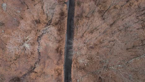 Rugged-logging-road-through-a-rocky-forest-with-a-bare,-deciduous-tree-canopy-in-the-Appalachian-mountains-during-winter-or-fall