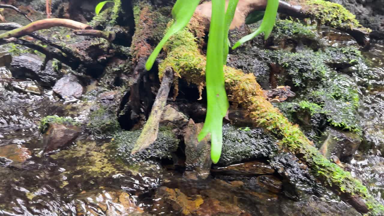 Camera moves from lush indoor waterfall terrarium to busy airport gate seating area