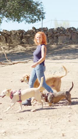 a woman walking her dogs on a sunny day outdoors