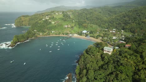 amazing aerial of palatuvier which is one of the top 10 beaches located on the caribbean island of tobago