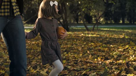 Autumn-walk-by-forest-path