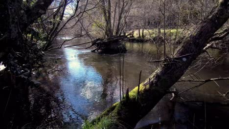 POV-Approaching-River-Banks-Of-Lengüelle-River-In-Galicia