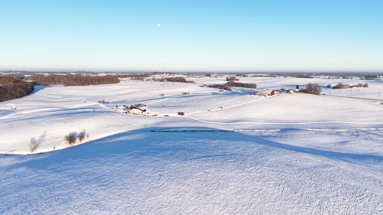 Drone video captures a serene snowy countryside, with rolling hills under a clear blue sky in winter. The absence of people enhances the tranquility of this picturesque landscape