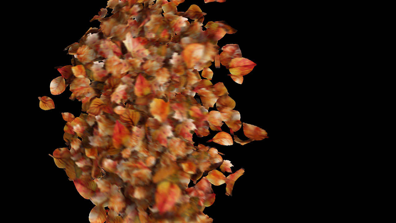 Autumn Leaves Burst Element on Transparent Background