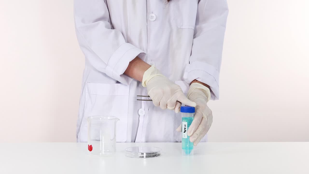 demostrando una reacción química con el sulfato de cobre