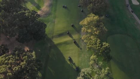 4k drone shot over group of gold carts driving on a golf course