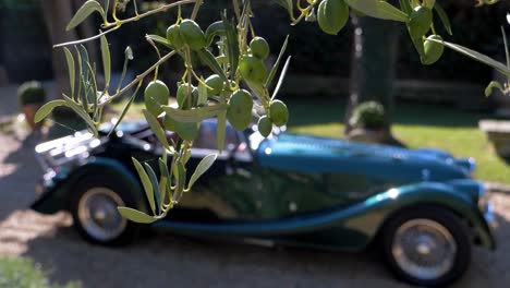 Hermoso-Y-Antiguo-Auto-Antiguo-Parado-Frente-A-Una-Mansión-Francesa,-Con-Aceitunas-Verdes-En-Primer-Plano